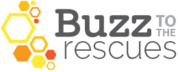 Buzz to the Rescues