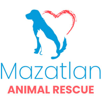 mazatlan-animal-rescue-buzz