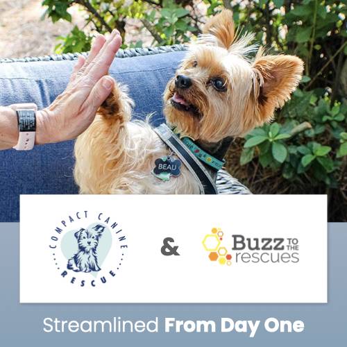 FeaturedImage-CompactCanineRescue