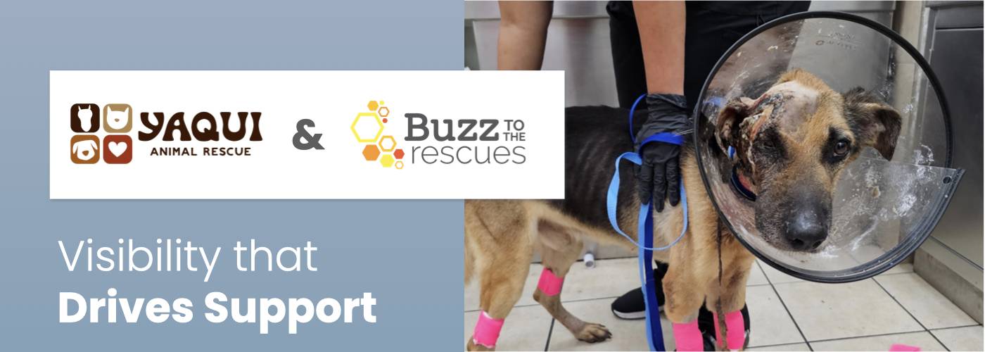 _YaquiAnimalRescue-Buzz CaseStudy