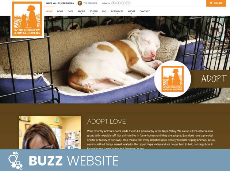 Buzz-Site