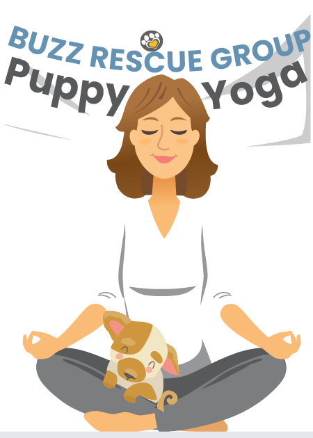 Fundraising Graphic v2