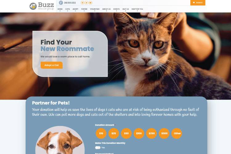 home-buzz