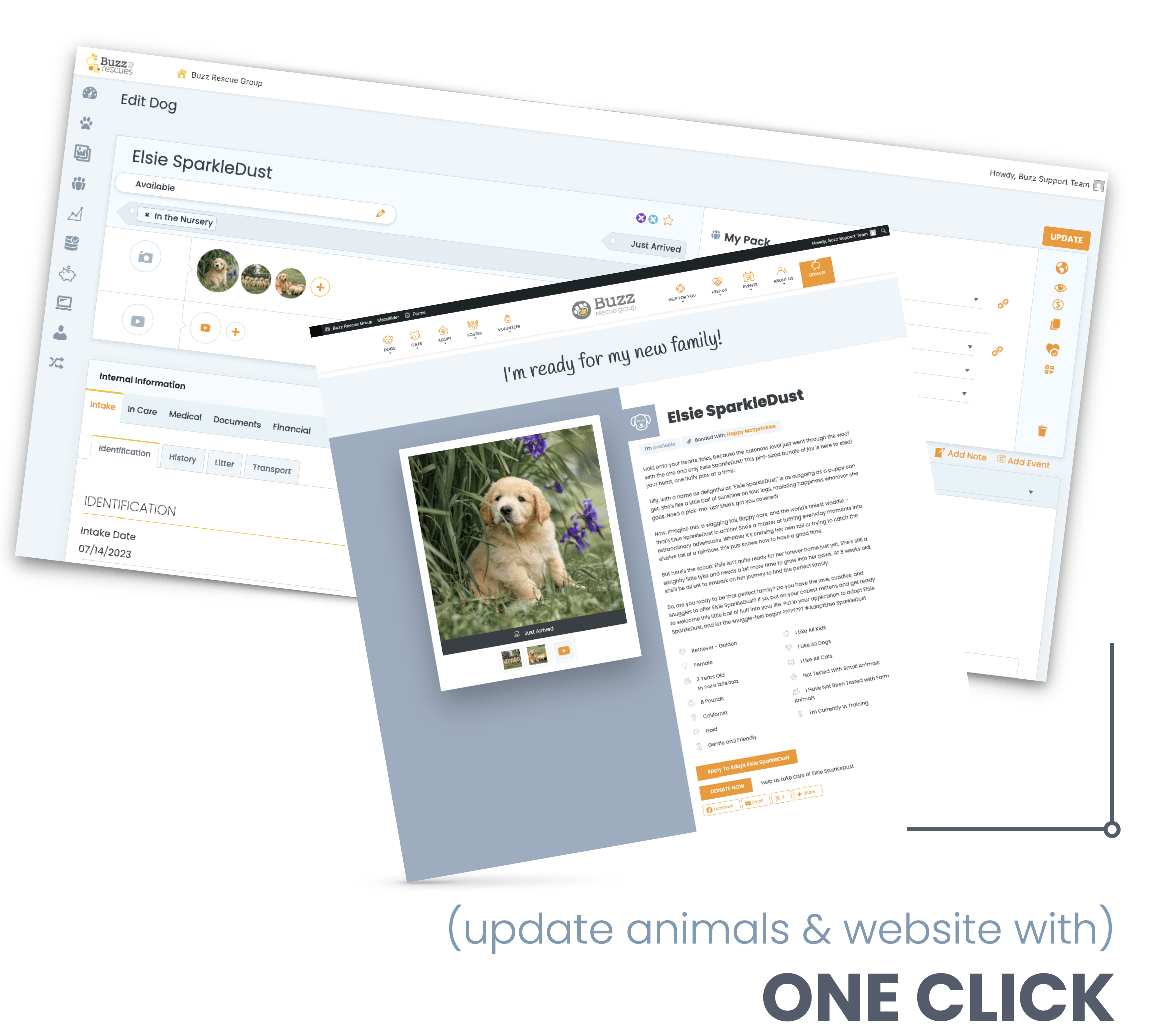Animal shelter software dashboard syncing animal records and adoption website in one click.